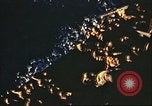 Immagine di Le truppe degli Stati Uniti su navi da trasporto Oran in Algeria, 1942, secondo 32 filmato di repertorio 65675065279
