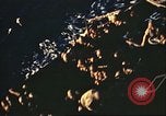 Immagine di Le truppe degli Stati Uniti su navi da trasporto Oran in Algeria, 1942, secondo 33 filmato di repertorio 65675065279