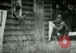 Image of chicken thieves West Orange New Jersey USA, 1896, second 1 stock footage video 65675065282