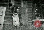 Image of chicken thieves West Orange New Jersey USA, 1896, second 4 stock footage video 65675065282