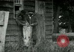 Image of chicken thieves West Orange New Jersey USA, 1896, second 7 stock footage video 65675065282
