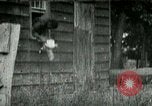 Image of chicken thieves West Orange New Jersey USA, 1896, second 12 stock footage video 65675065282