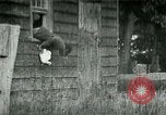 Image of chicken thieves West Orange New Jersey USA, 1896, second 13 stock footage video 65675065282