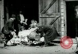 Image of husking bee West Orange New Jersey USA, 1898, second 6 stock footage video 65675065287