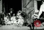 Image of husking bee West Orange New Jersey USA, 1898, second 8 stock footage video 65675065287