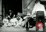 Image of husking bee West Orange New Jersey USA, 1898, second 9 stock footage video 65675065287
