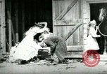 Image of husking bee West Orange New Jersey USA, 1898, second 26 stock footage video 65675065287