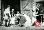 Image of husking bee West Orange New Jersey USA, 1898, second 30 stock footage video 65675065287