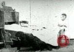 Image of man in gorilla costume West Orange New Jersey USA, 1898, second 21 stock footage video 65675065288