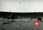Image of cowboy lassos steer United States USA, 1898, second 1 stock footage video 65675065291