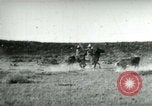 Image of cowboy lassos steer United States USA, 1898, second 5 stock footage video 65675065291