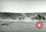 Image of cowboy lassos steer United States USA, 1898, second 11 stock footage video 65675065291