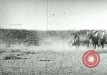 Image of cowboy lassos steer United States USA, 1898, second 13 stock footage video 65675065291