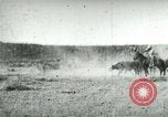 Image of cowboy lassos steer United States USA, 1898, second 14 stock footage video 65675065291