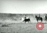 Image of cowboy lassos steer United States USA, 1898, second 18 stock footage video 65675065291