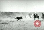 Image of cowboy lassos steer United States USA, 1898, second 19 stock footage video 65675065291