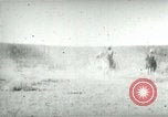 Image of cowboy lassos steer United States USA, 1898, second 25 stock footage video 65675065291