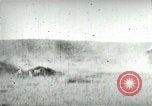 Image of cowboy lassos steer United States USA, 1898, second 26 stock footage video 65675065291