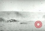 Image of cowboy lassos steer United States USA, 1898, second 27 stock footage video 65675065291