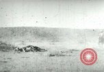 Image of cowboy lassos steer United States USA, 1898, second 28 stock footage video 65675065291