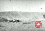 Image of cowboy lassos steer United States USA, 1898, second 30 stock footage video 65675065291