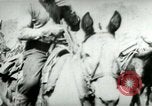 Standbild Armee Maultiere tragen Munition Kuba, 1898, aus Sekunde 15 historischem Filmmaterial Videoclip 65675065296