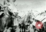 Standbild Armee Maultiere tragen Munition Kuba, 1898, aus Sekunde 19 historischem Filmmaterial Videoclip 65675065296