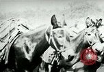 Standbild Armee Maultiere tragen Munition Kuba, 1898, aus Sekunde 22 historischem Filmmaterial Videoclip 65675065296