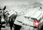 Standbild Armee Maultiere tragen Munition Kuba, 1898, aus Sekunde 23 historischem Filmmaterial Videoclip 65675065296