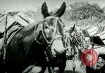Standbild Armee Maultiere tragen Munition Kuba, 1898, aus Sekunde 24 historischem Filmmaterial Videoclip 65675065296