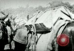 Standbild Armee Maultiere tragen Munition Kuba, 1898, aus Sekunde 25 historischem Filmmaterial Videoclip 65675065296