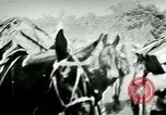 Standbild Armee Maultiere tragen Munition Kuba, 1898, aus Sekunde 26 historischem Filmmaterial Videoclip 65675065296