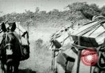 Standbild Armee Maultiere tragen Munition Kuba, 1898, aus Sekunde 28 historischem Filmmaterial Videoclip 65675065296