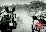 Standbild Armee Maultiere tragen Munition Kuba, 1898, aus Sekunde 29 historischem Filmmaterial Videoclip 65675065296