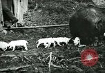 Immagine di Nero seminare United States USA, 1898, secondo 3 filmato di repertorio 65675065303