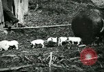 Immagine di Nero seminare United States USA, 1898, secondo 5 filmato di repertorio 65675065303