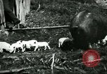 Immagine di Nero seminare United States USA, 1898, secondo 7 filmato di repertorio 65675065303