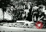 Image of Man chopping wood United States USA, 1898, second 11 stock footage video 65675065304