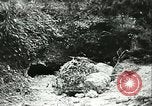 Image 10e Armée Okinawa îles Ryukyu, 1945, de la seconde 62 séquences d'archives historiques vidéo 65675065310
