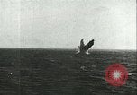 Image avions japonais Okinawa îles Ryukyu, 1945, de la seconde 33 séquences d'archives historiques vidéo 65675065311