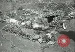 Image japonais Silent attack Okinawa îles Ryukyu, 1945, de la seconde 59 séquences d'archives historiques vidéo 65675065312
