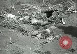 Image japonais Silent attack Okinawa îles Ryukyu, 1945, de la seconde 60 séquences d'archives historiques vidéo 65675065312