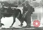 Image Les troupes allemandes se sont félicités de l'ancien français domaines de Pologne Pologne, 1939, de la seconde 9 séquences d'archives historiques vidéo 65675065314