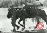 Image Les troupes allemandes se sont félicités de l'ancien français domaines de Pologne Pologne, 1939, de la seconde 11 séquences d'archives historiques vidéo 65675065314