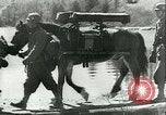 Image Les troupes allemandes se sont félicités de l'ancien français domaines de Pologne Pologne, 1939, de la seconde 14 séquences d'archives historiques vidéo 65675065314