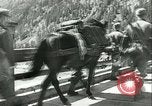 Image Les troupes allemandes se sont félicités de l'ancien français domaines de Pologne Pologne, 1939, de la seconde 18 séquences d'archives historiques vidéo 65675065314