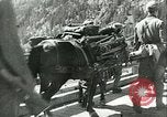 Image Les troupes allemandes se sont félicités de l'ancien français domaines de Pologne Pologne, 1939, de la seconde 20 séquences d'archives historiques vidéo 65675065314