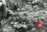 Image Les troupes allemandes se sont félicités de l'ancien français domaines de Pologne Pologne, 1939, de la seconde 22 séquences d'archives historiques vidéo 65675065314
