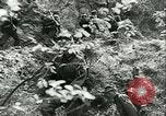 Image Les troupes allemandes se sont félicités de l'ancien français domaines de Pologne Pologne, 1939, de la seconde 26 séquences d'archives historiques vidéo 65675065314