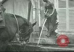 Immagine di Cavalli Neufchateau Francia, 1918, secondo 50 filmato di repertorio 65675065327
